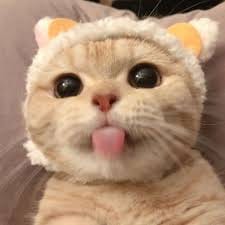 เก้า สุภัสสรา avatar